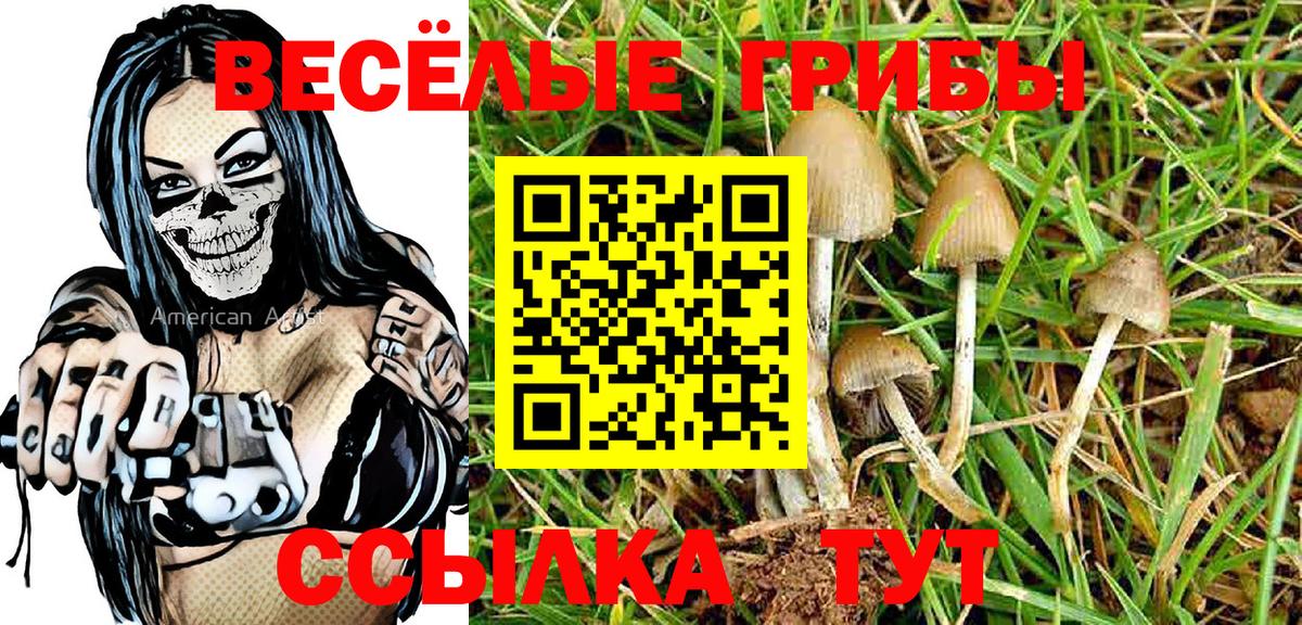Галлюциногенные грибы GOLDEN TEACHER Пушкино